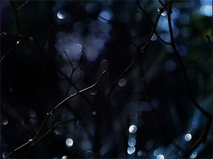 Winter Frost 14