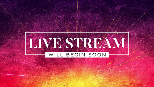 Vivid Easter Live Stream Still
