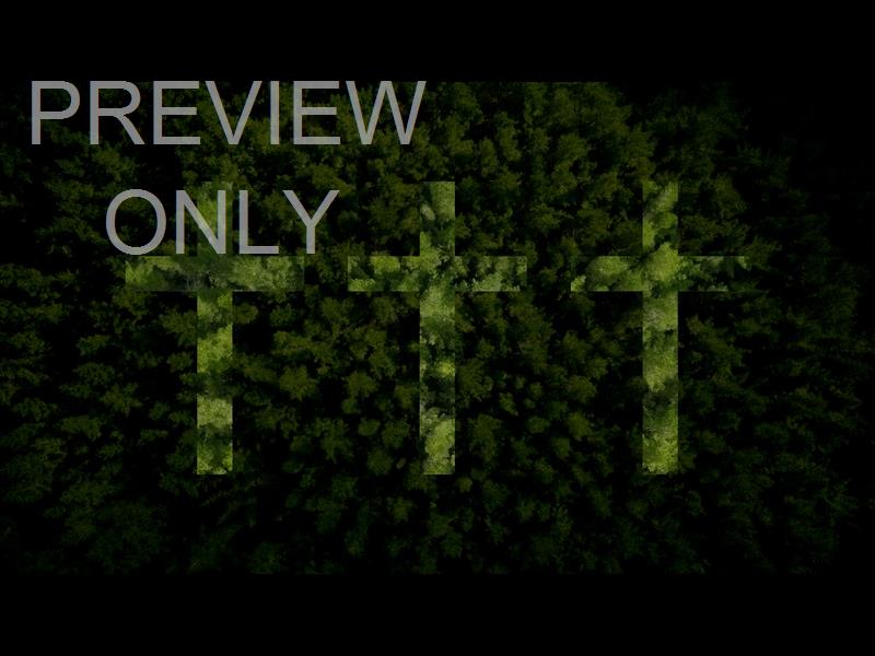 Aerial Bliss Sanctify Sermon Title 4