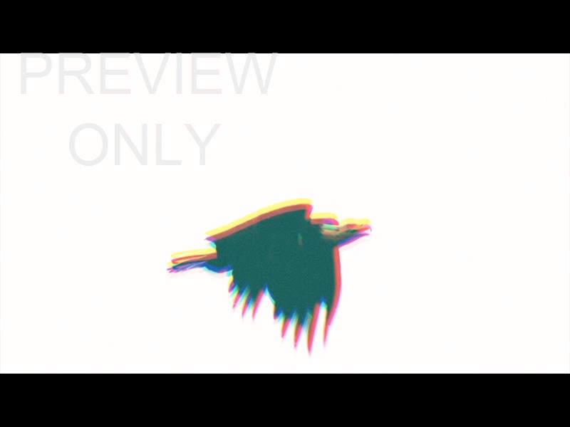 Bible Animals Eagle Still