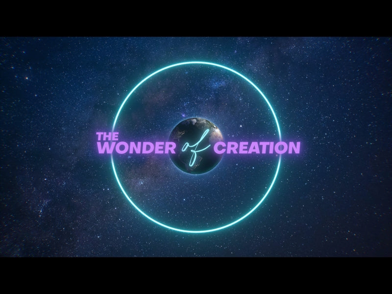 The Wonder Of Creation