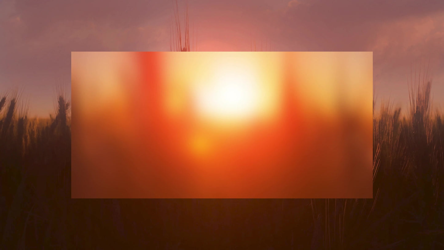 Golden Hour Close Alt Still