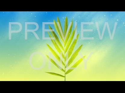 Beautiful Dust Palm Sunday 02