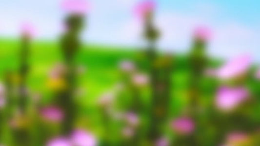 Springtime Bloom 21