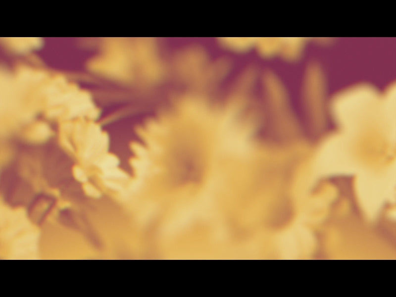 Made Beautiful Loop 03