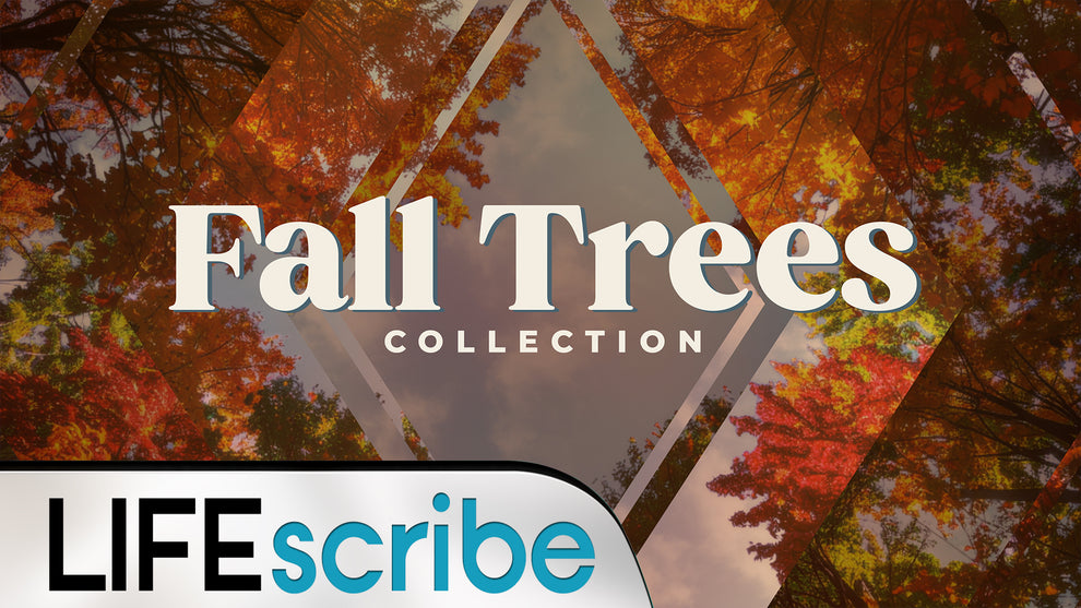 Fall Trees Collection – WorshipHouse Media