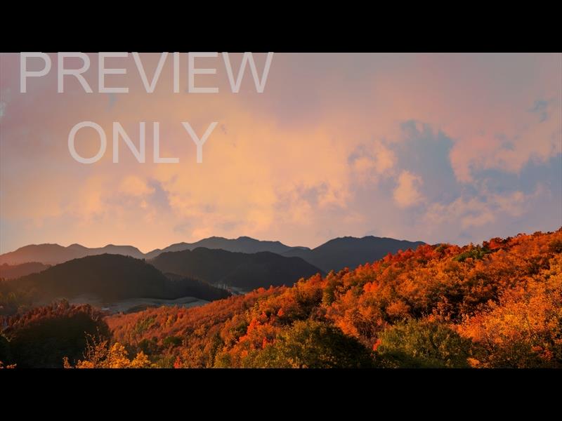 Wilderness Fall 7 Still