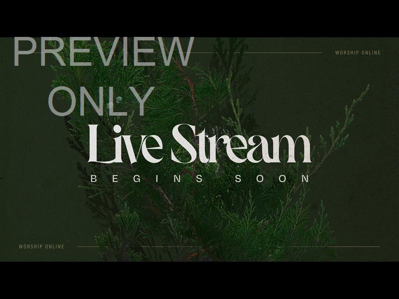 Autumn Nature Live Stream Begins Soon Title Still