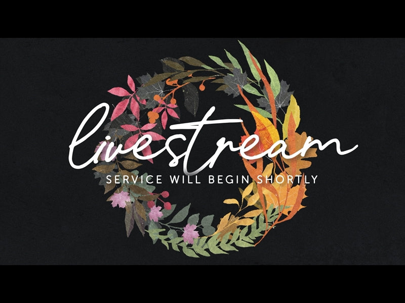Autumn Wreath Livestream