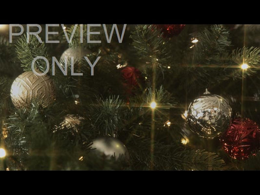 Christmas Lights Ii: 14 Still
