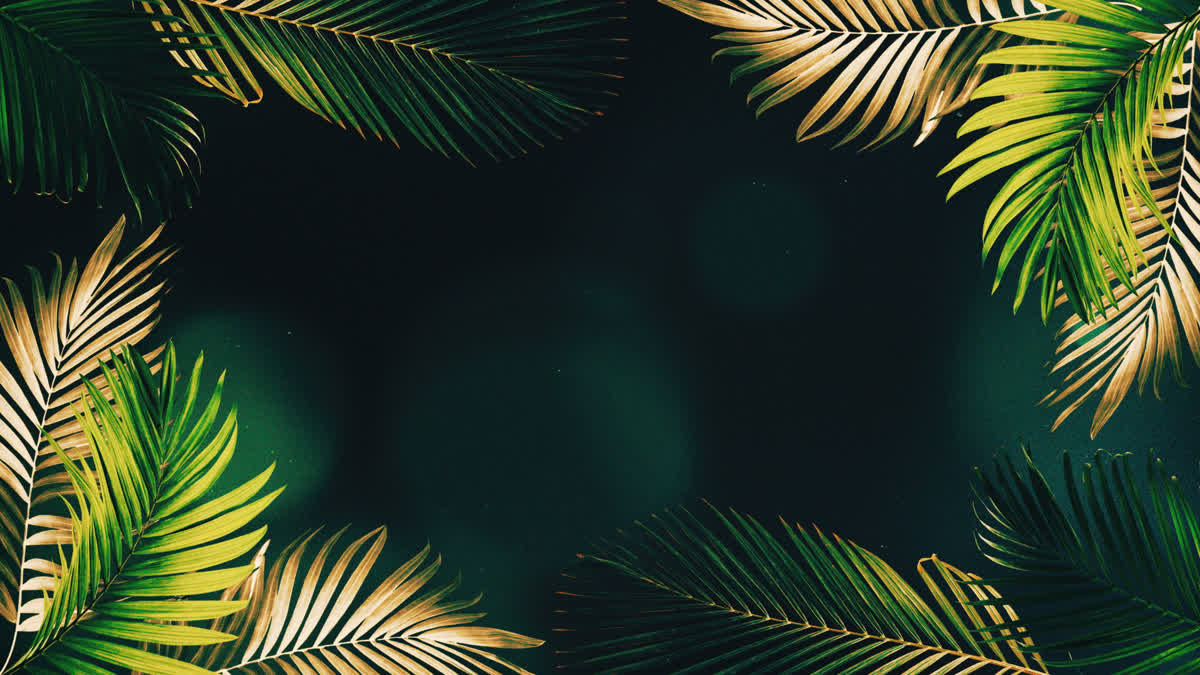 Vibrant Palms 7