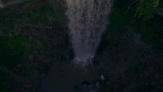 Nature's Force 3 Darken