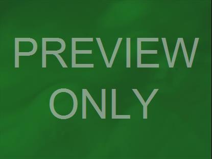X Paint Green