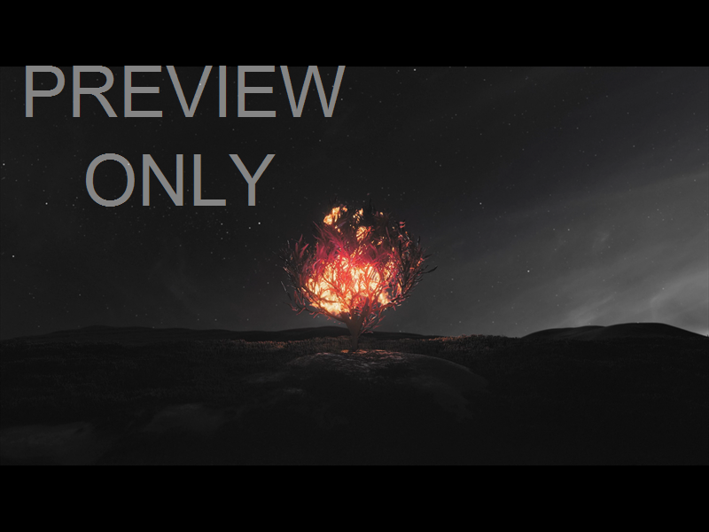 His Plan Is Perfect: Still 05