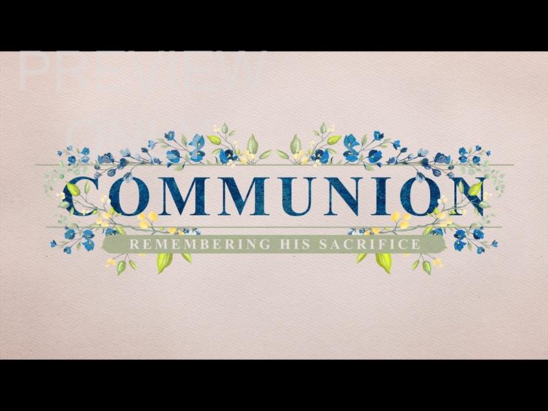 Petite Flower: Still Communion