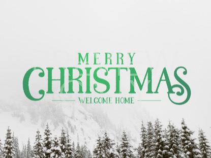 Snowy Forest Welcome