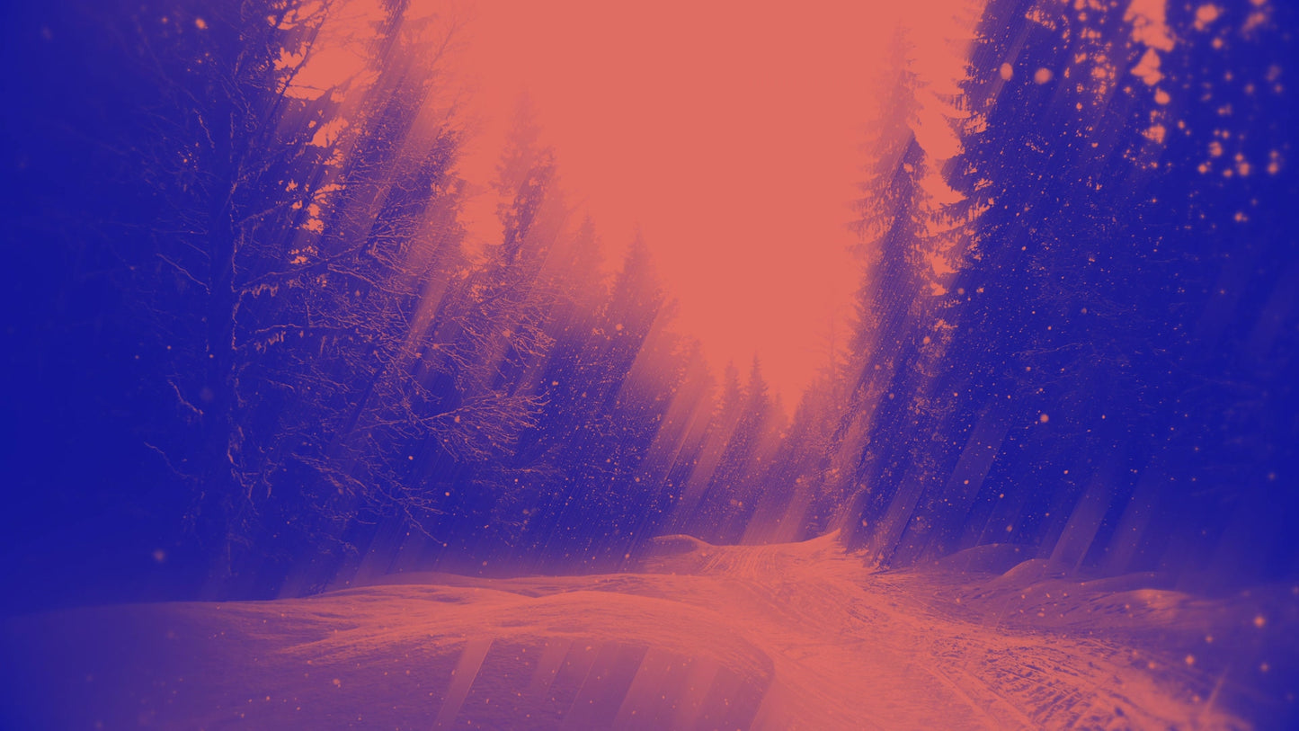 Holiday Visions 4 Alt Still