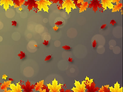 Fall 9 Motion Vol6