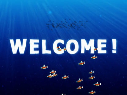 Underwater Kids Transitions