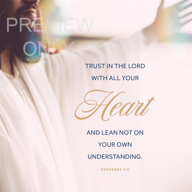 Proverbs 3:5 Scripture