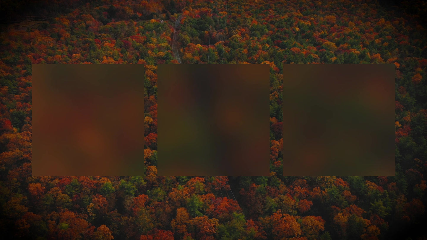 Autumn Colors Drive Alt