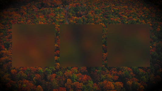 Autumn Colors Drive Alt