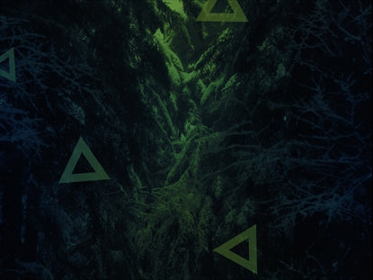 Secret Forest Triangles