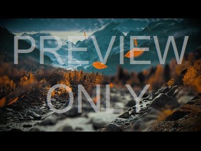 Falling Autumn 1 Graphic