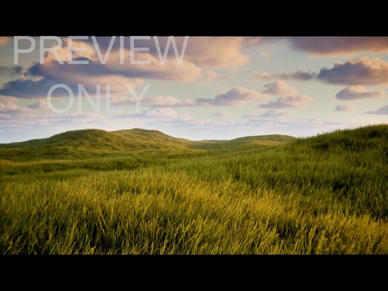 Prairie Low Flight Still
