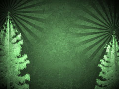 Winter Trees Green