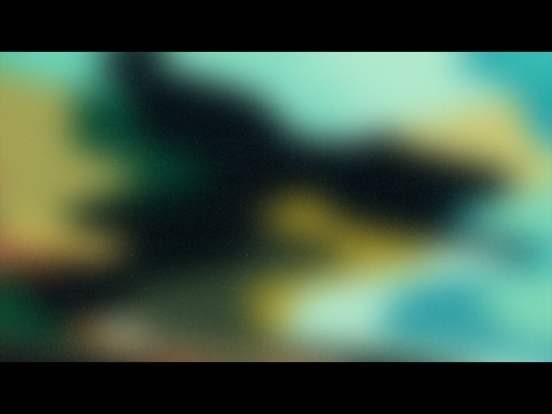 Made For Adventure Loop 03