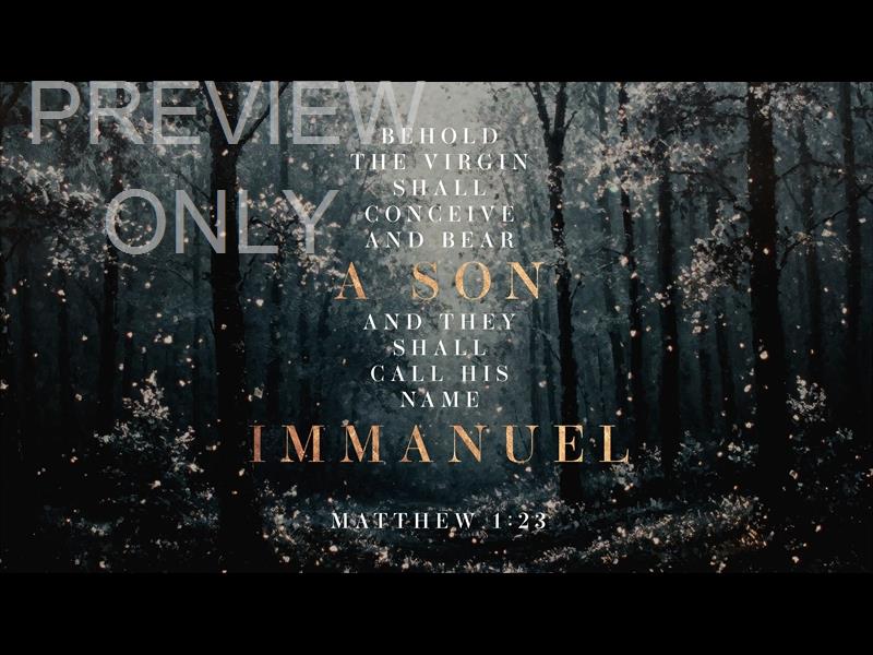 Snow Day Title Graphic 5