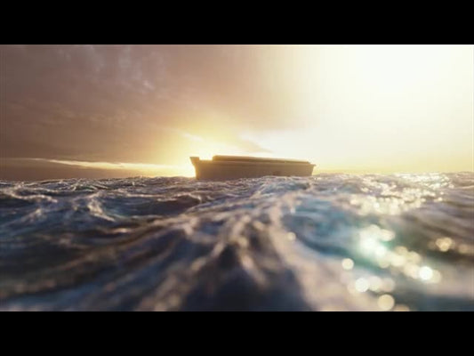 His Plan Is Perfect: Ark