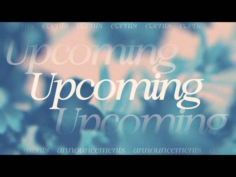 Made Beautiful Upcoming