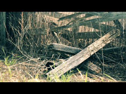 Reason To Sing Complete Set