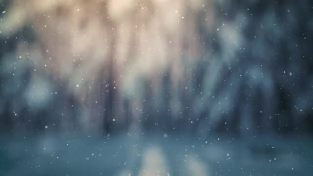 Snow Shimmer: 03