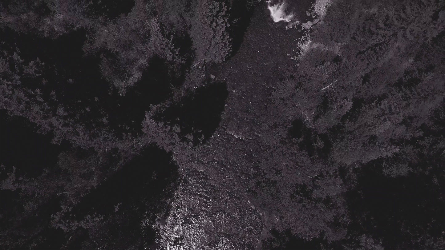 Aerial River Remix Still