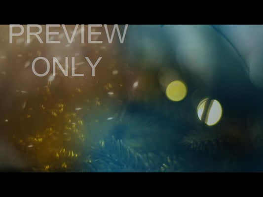 Bright And Beautiful Still 09