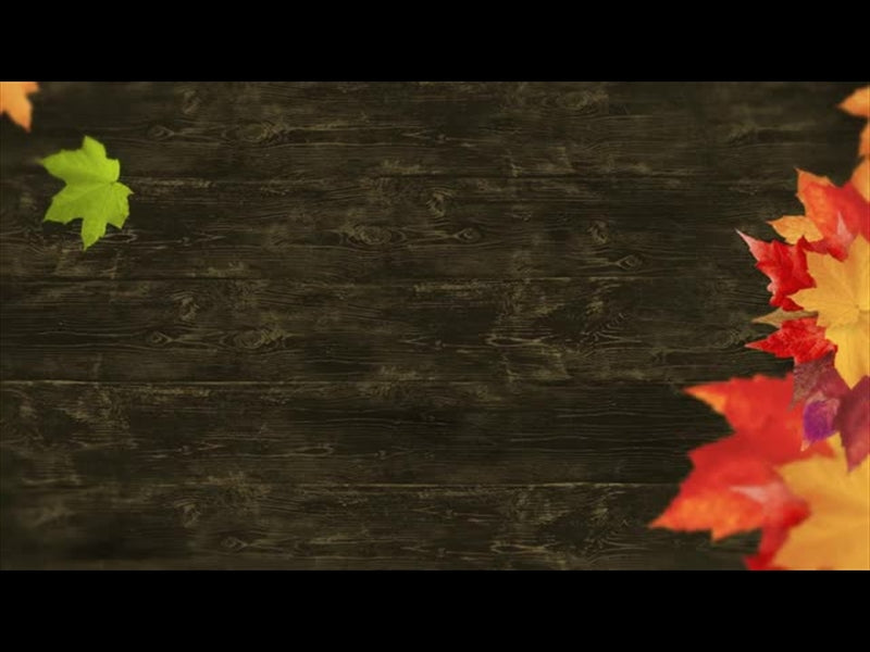 Fall Volume Two: Motion 02