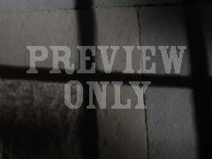 Shadow Cast 6