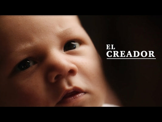 El Creador: Domingo De La Santidad De La Vida