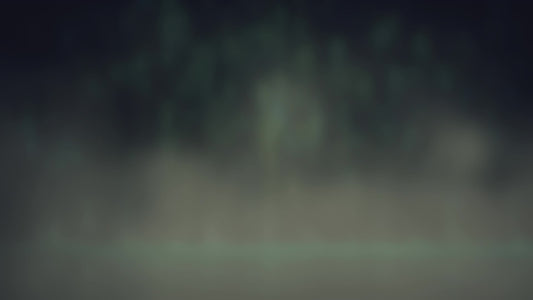 Lumberjack Shoreline Alt