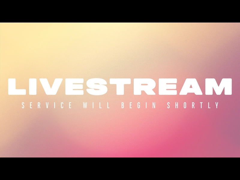 Here Comes The Sun Livestream