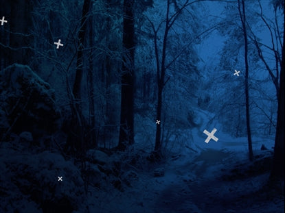 Blue Winter Forest Path Crosses