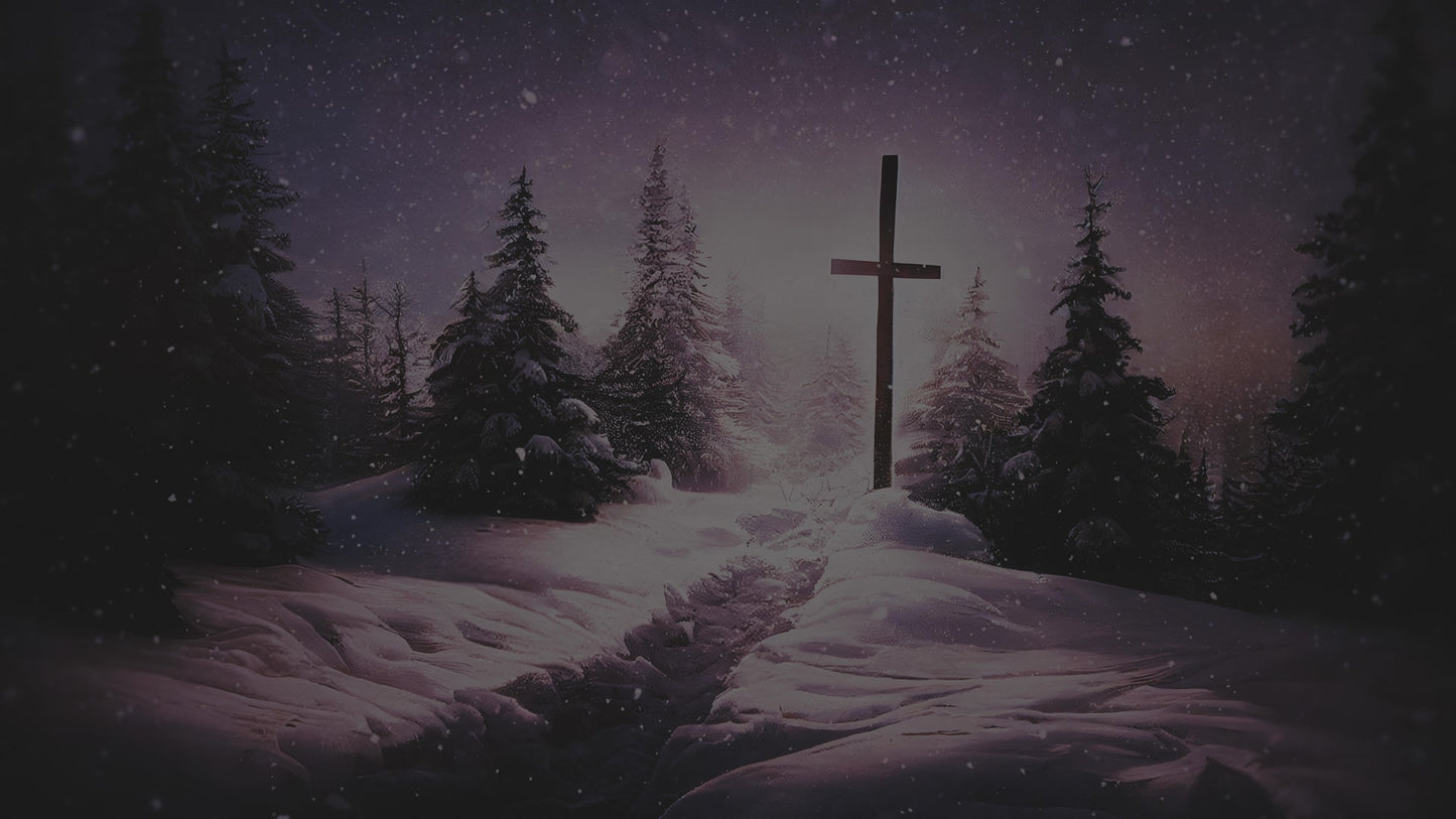 Winter Journey Snow Cross Alt Still