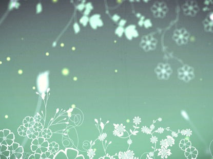 Firefly Foliage Forest