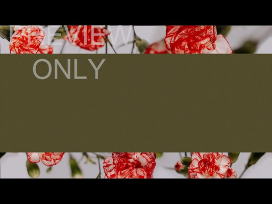 Floral Details Still 3