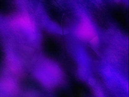 Radiant Harvest Motion 9