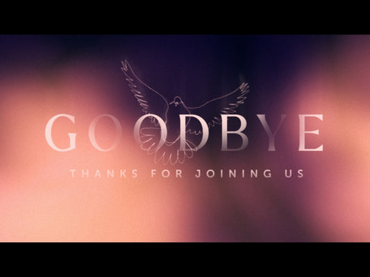 Soaring Goodbye