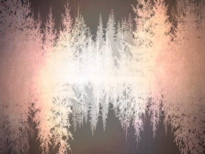 Natures Beauty 1 Motion